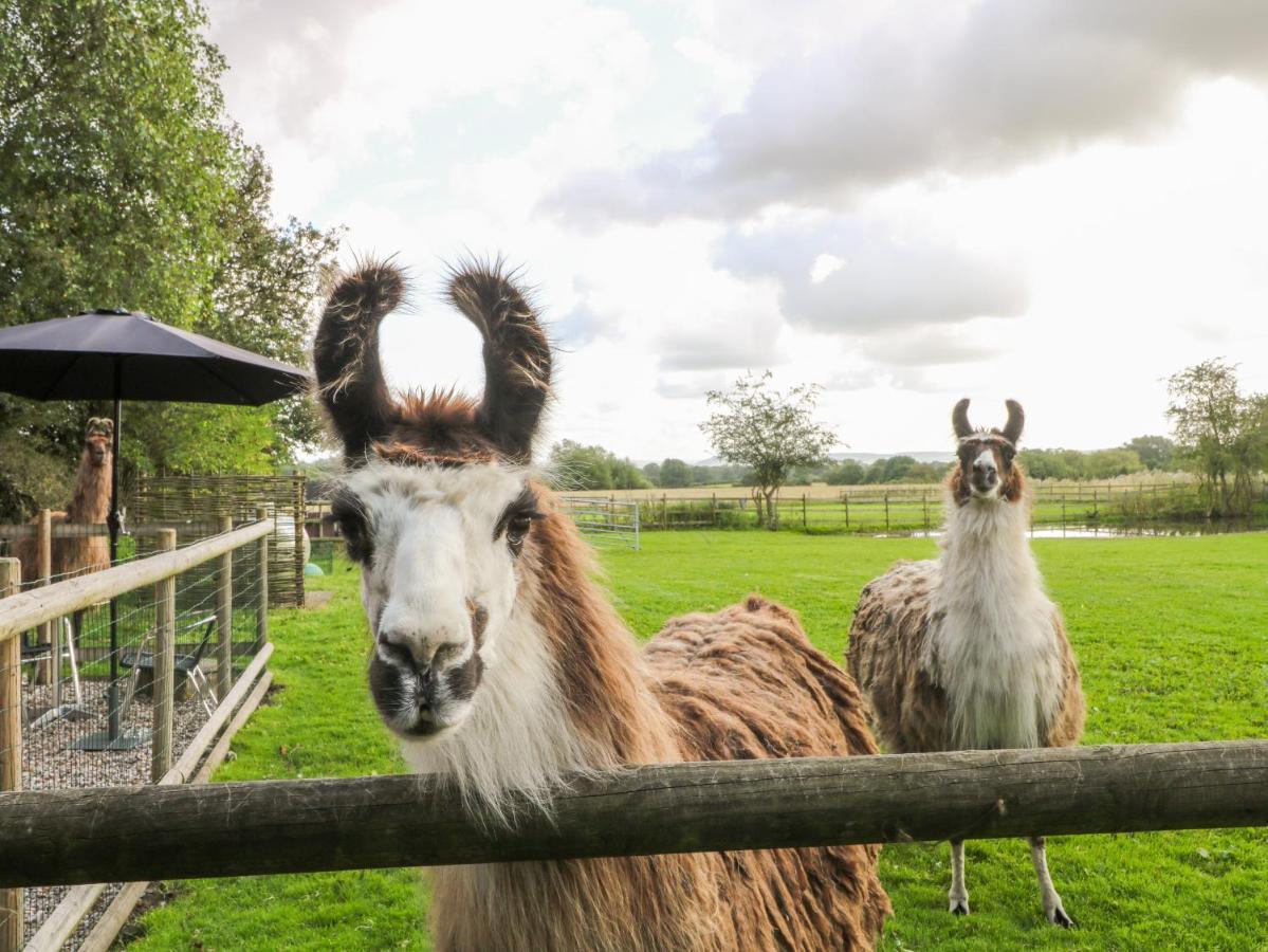 Chequer Stable Villa Brereton Dış mekan fotoğraf